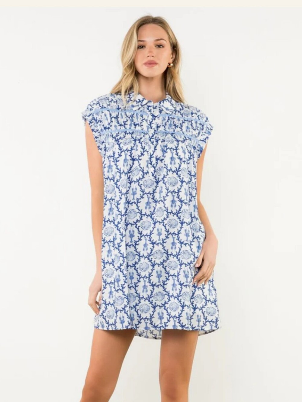 THML Blue and White Printed Mini Dress